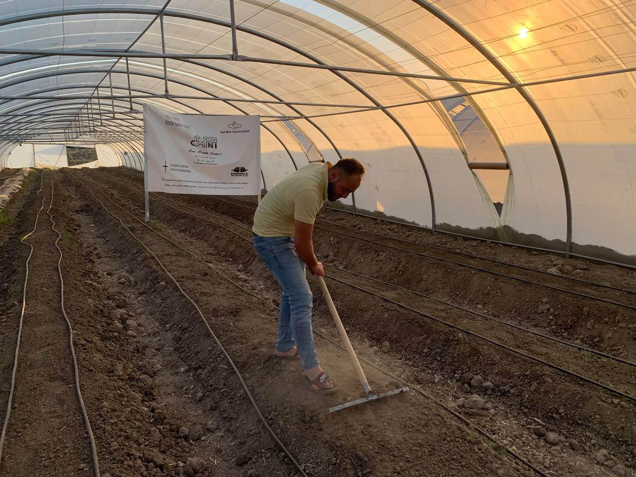 For the first time, farmers of Fishkhabour start producing the (broccoli) crop