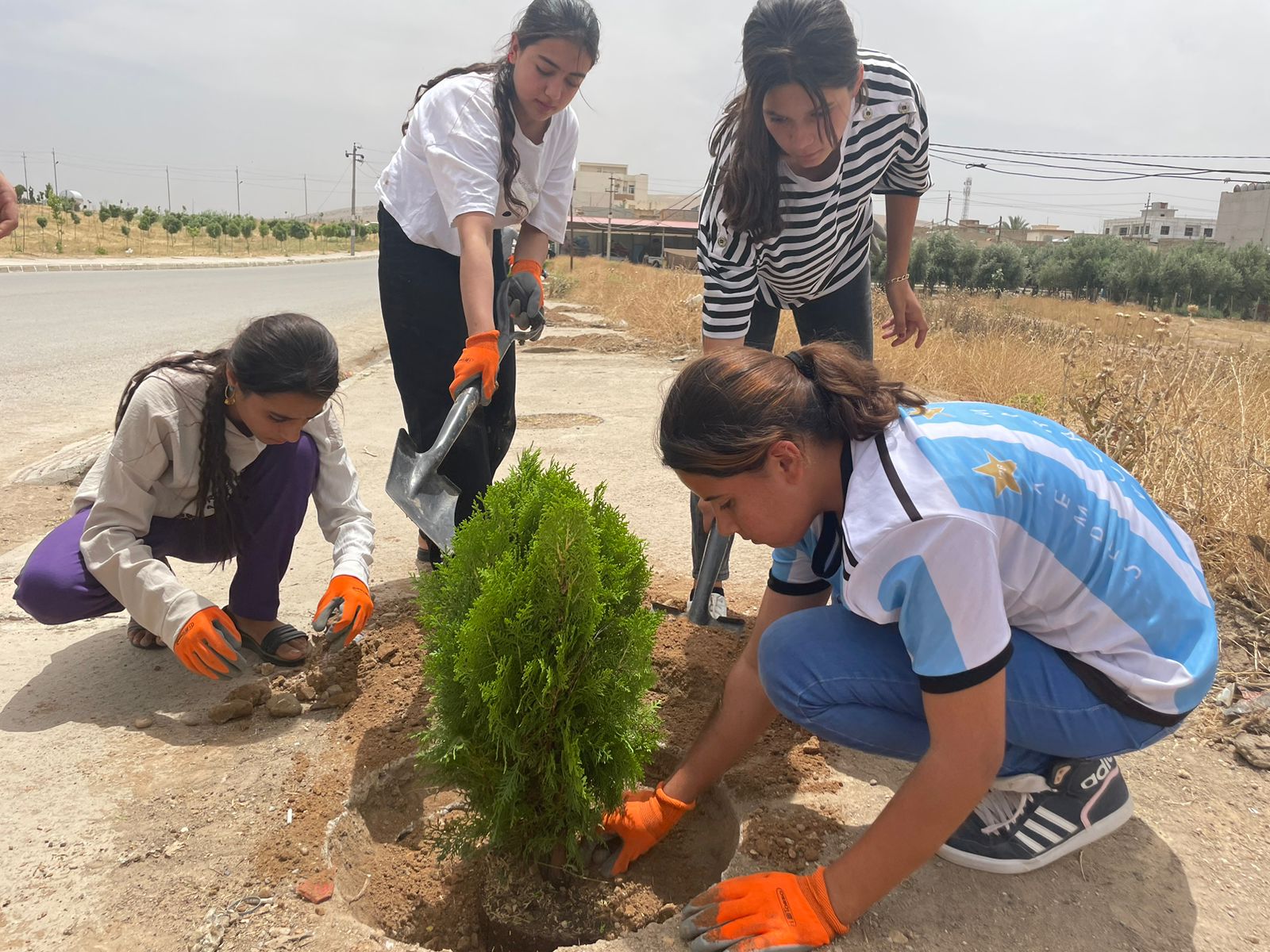 CAPNI organization organizes an afforestation campaign in the Sharya complex